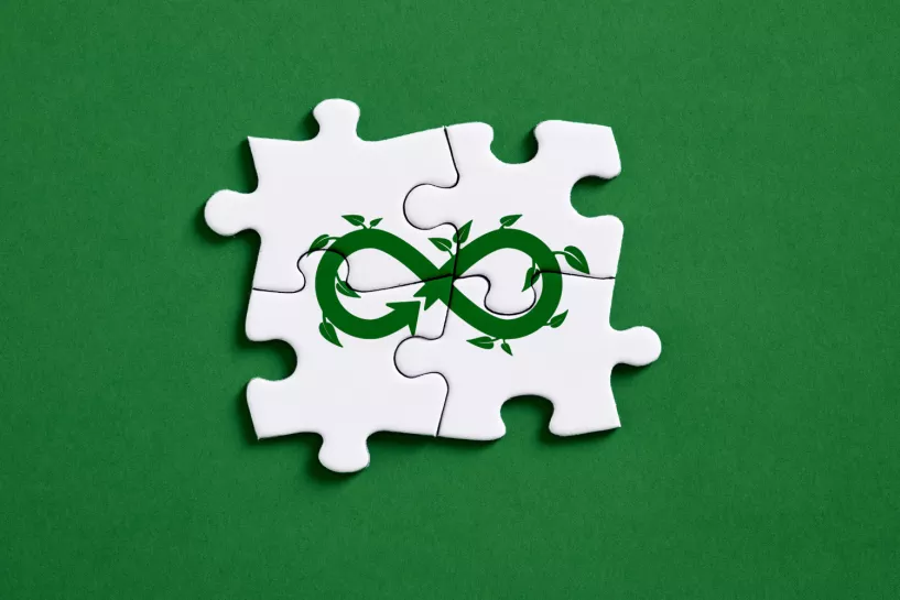 Zukunftsfähige Geschäftsmodelle – So werden Ideen kreislauffähig: Workshop für Gründerinnen und Gründer an der Hochschule Bonn-Rhein-Sieg